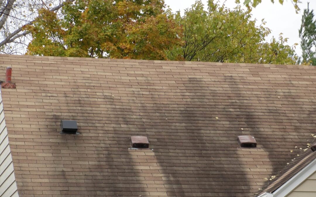 Why Softwash for Roofs?