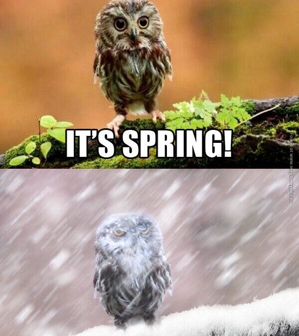 Spring Is Here…Well Maybe!
