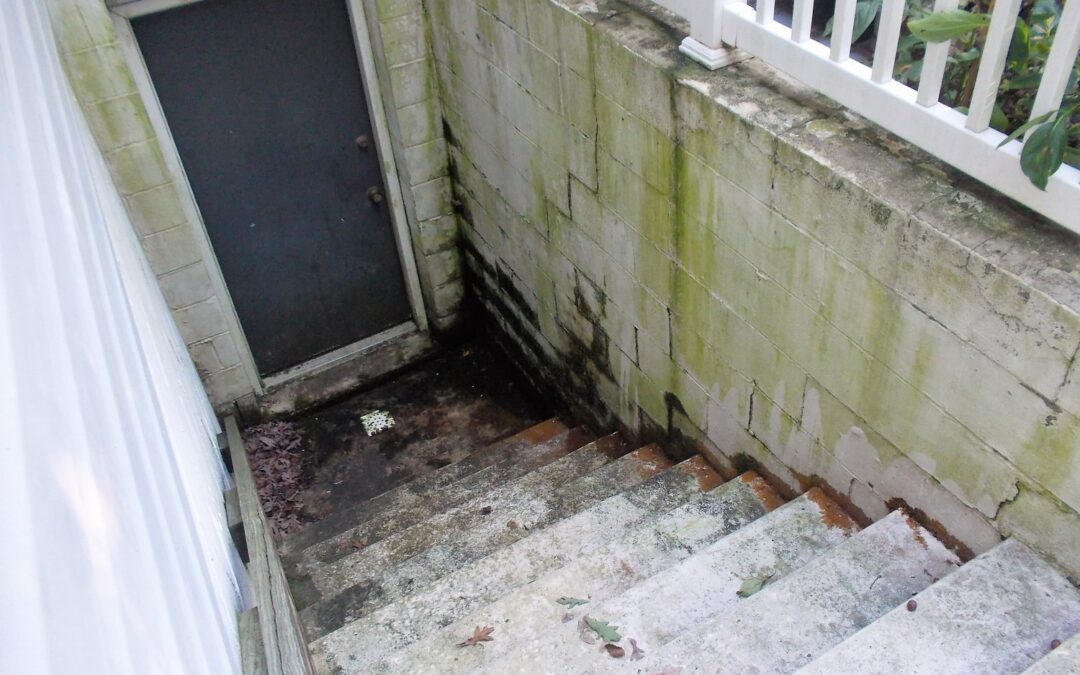 Pressure Washing Basement Entries