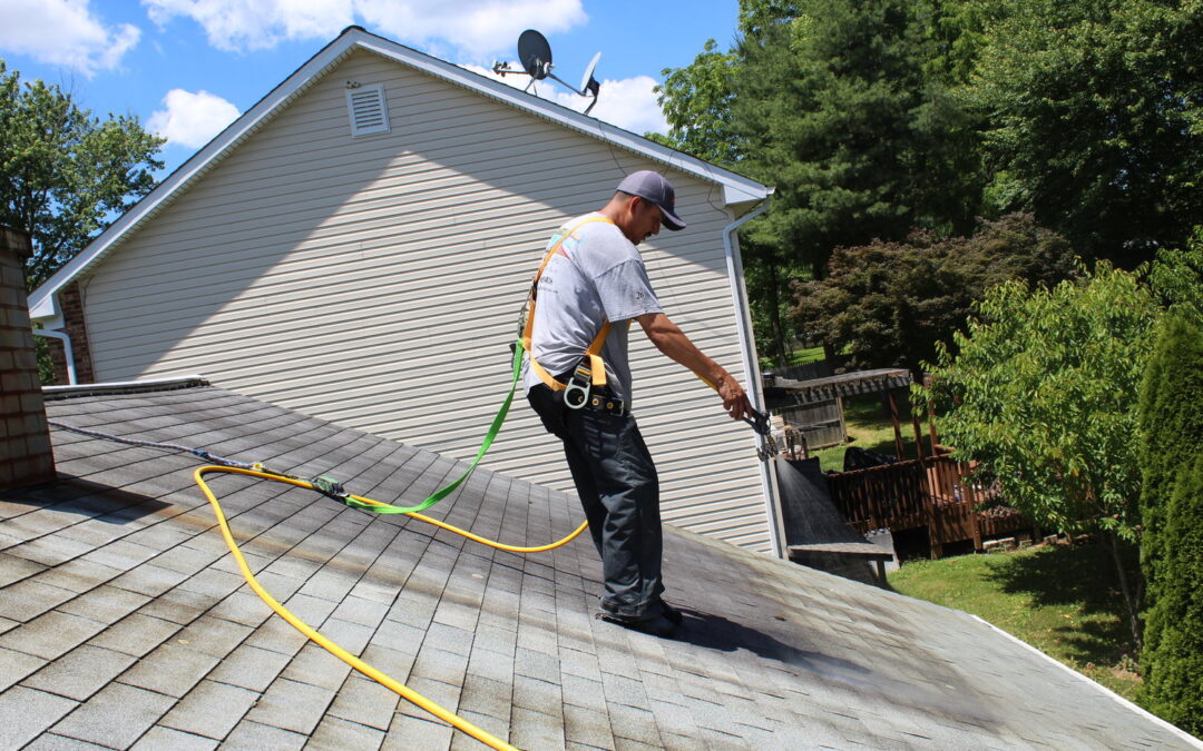 Difference Between Our Softwash and Pressure Wash