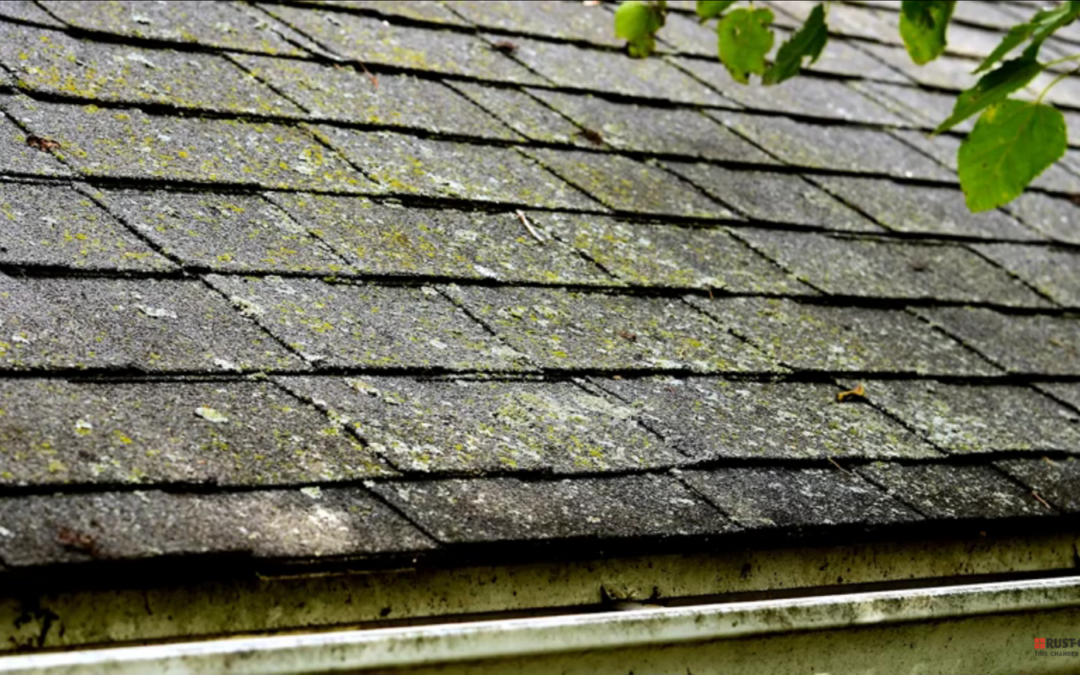 Why should I have my roof cleaned?