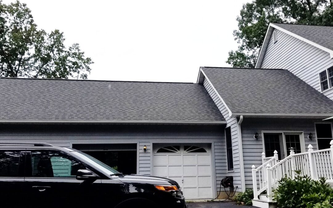 A Clean Roof Saves Money