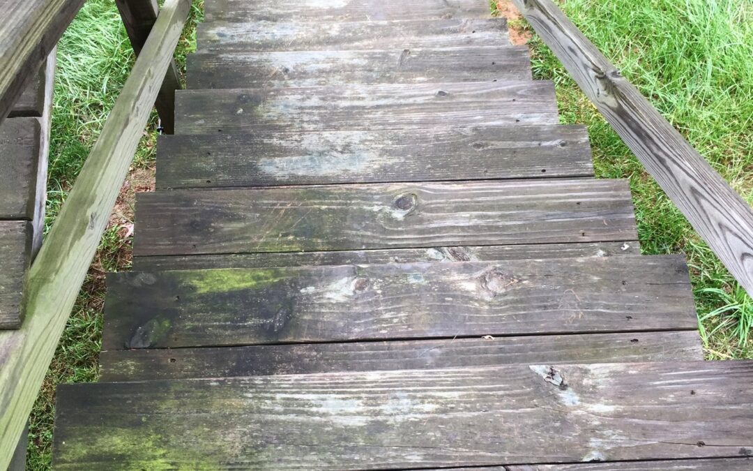 An affordable solution to forlorn stairs!