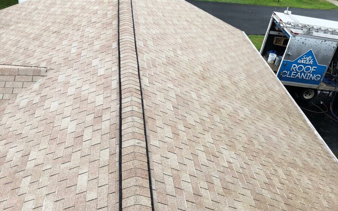 Choosing the best for your roof!