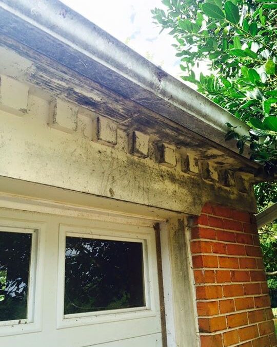 How are your Gutters, Soffits, and Fascias?