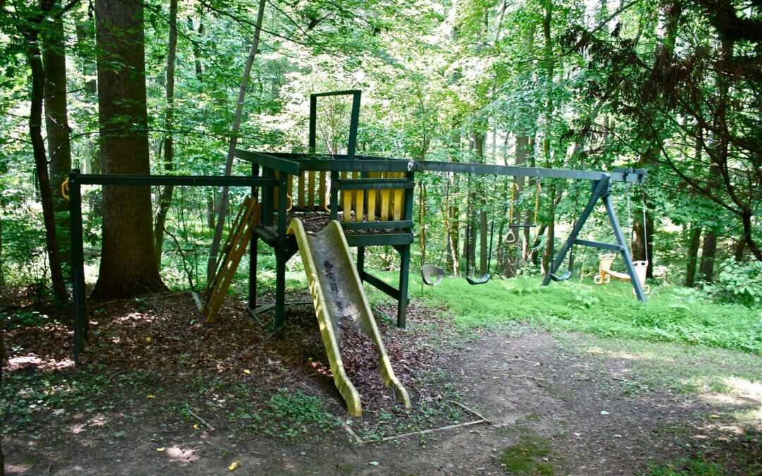 Play Sets Need Attention?