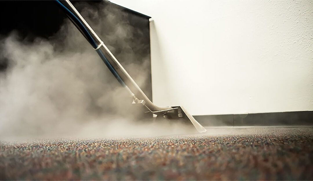 Professional Carpet Cleaning