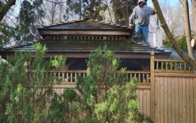 Cedar Roof Cleaning